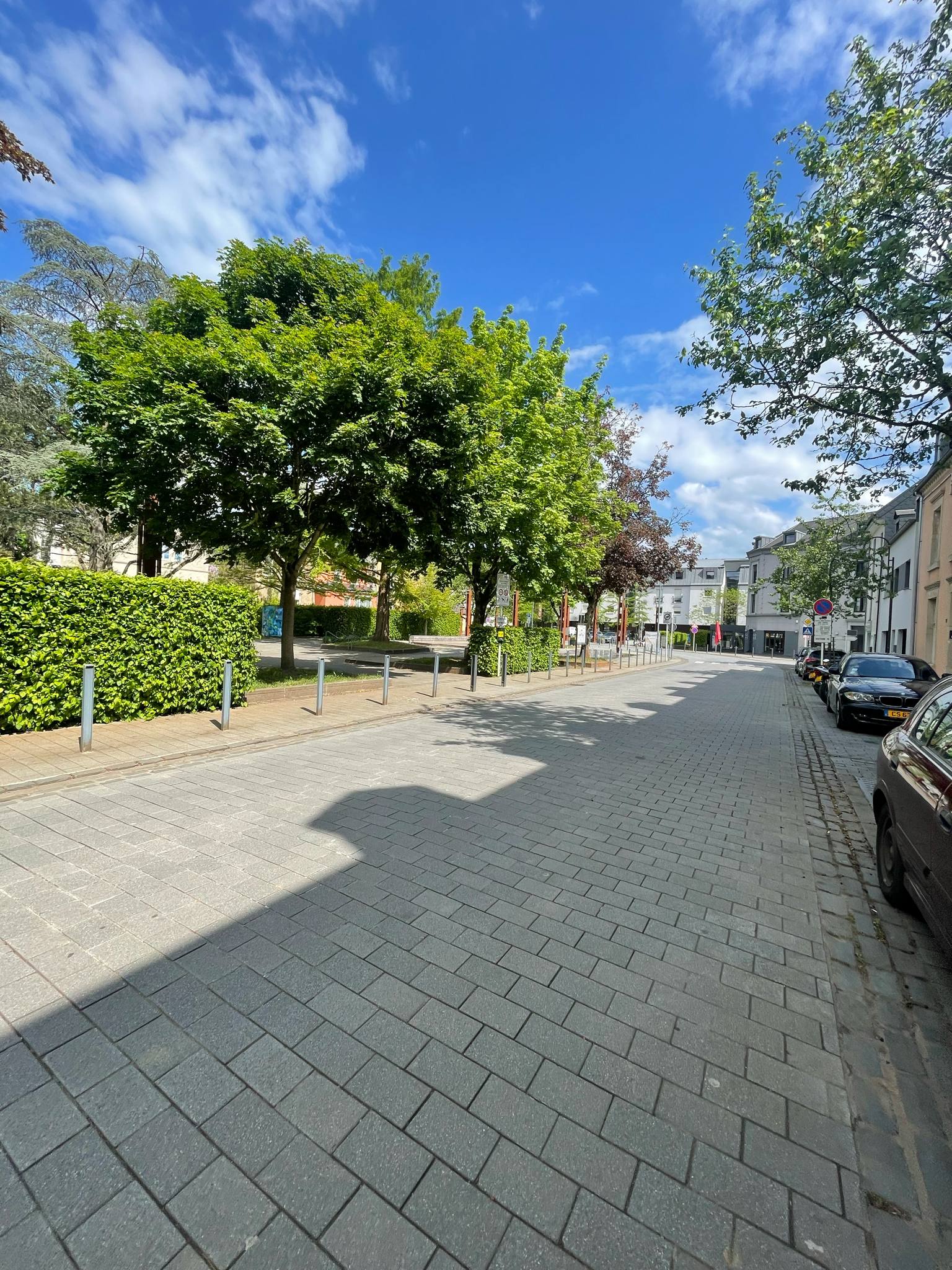 Image 16